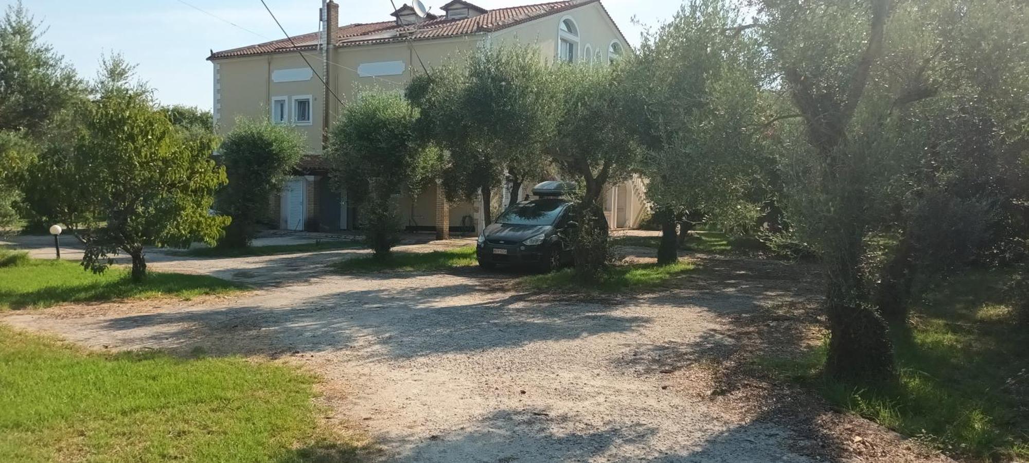 Antonios Olive Garden Acharavi Kerkyraアパートメント エクステリア 写真
